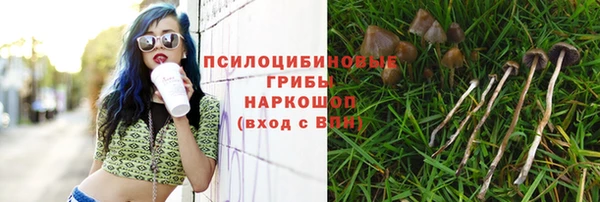 МДПВ Балахна