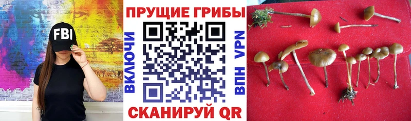 Псилоцибиновые грибы мухоморы  Людиново 